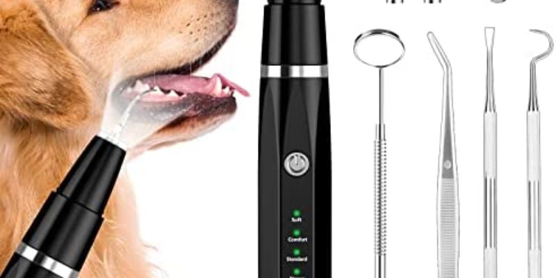 Dog Plaque Remover for Teeth